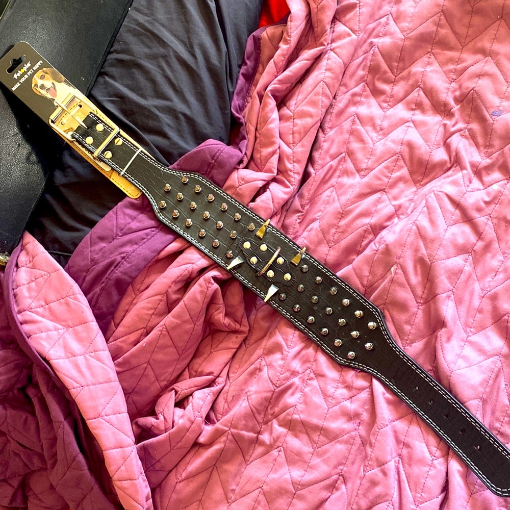 Dog collar in black leather with unique studs and design pattern leather adjust